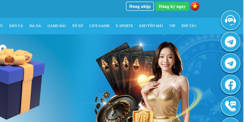 slot là gì dịch